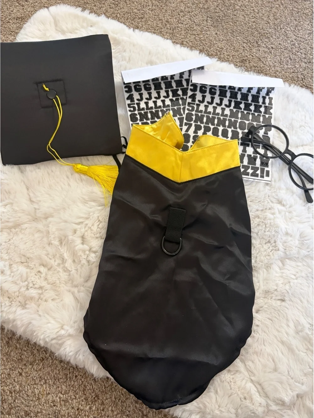 New Huhumy dog graduation outfit